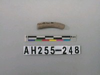 藏品(灰色泥質陶環殘件)的圖片